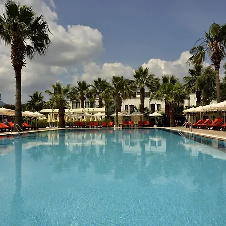 Anadolu 4*