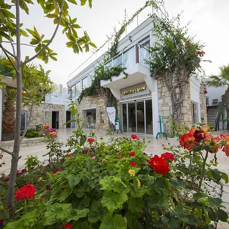 Anadolu 4*
