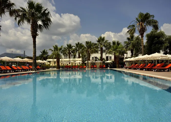 Anadolu 4*