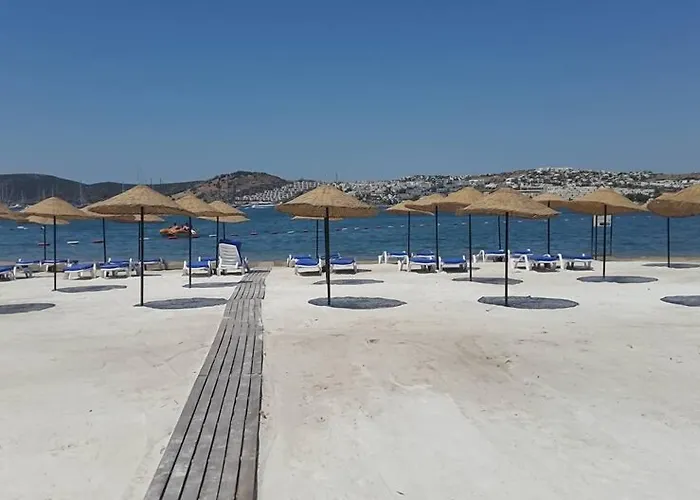 Anadolu Bodrum