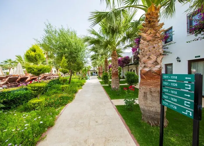 Anadolu