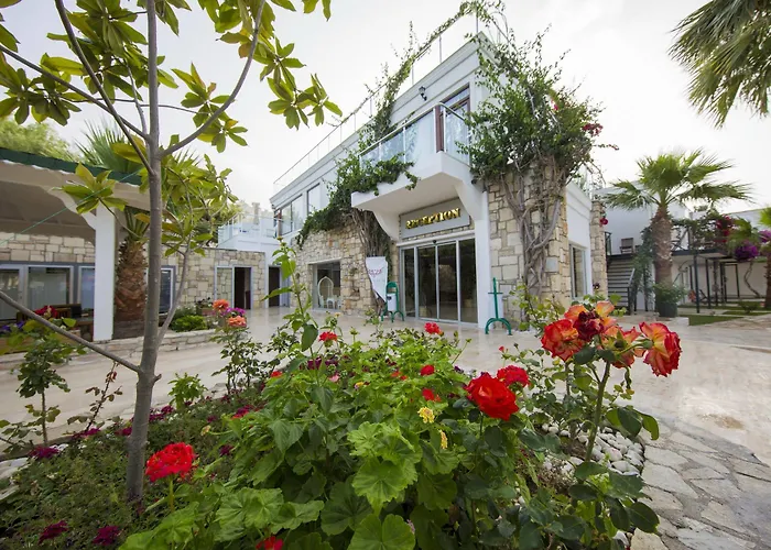 Anadolu 4*